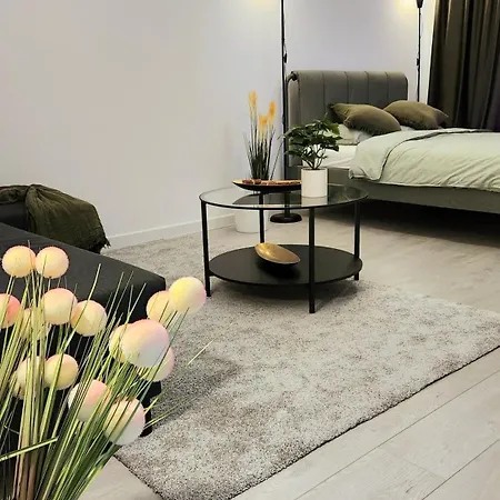 Apartment Den Pacii Bukarest