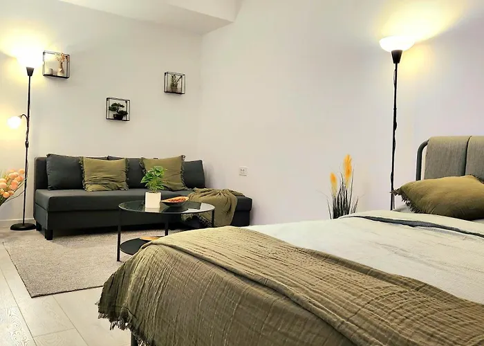 Appartement Den Pacii *