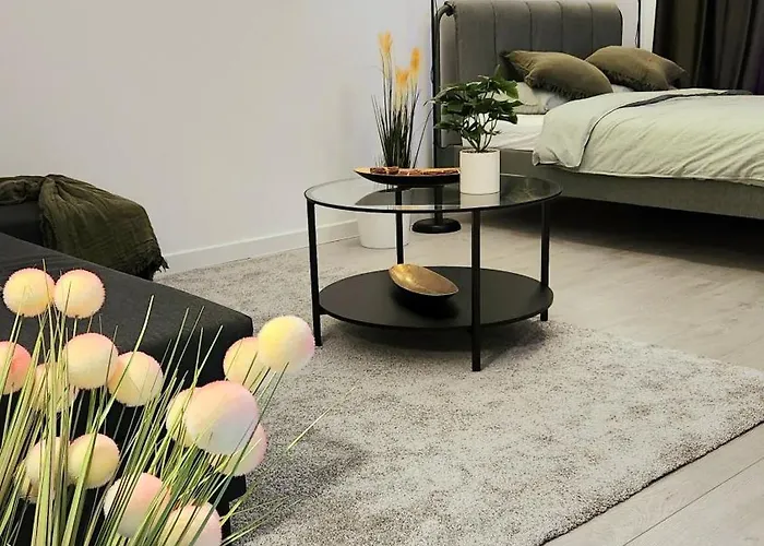 Appartement Den Pacii Bucarest