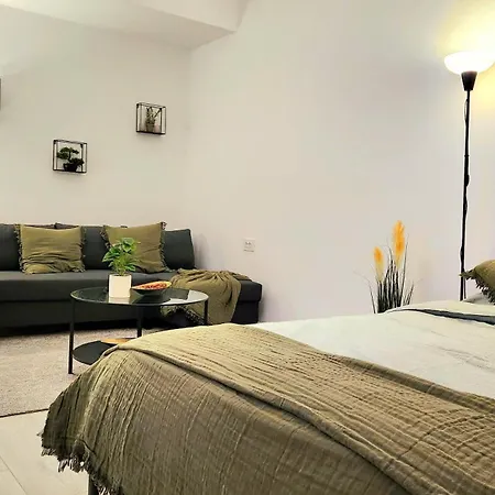 Apartment Den Pacii *